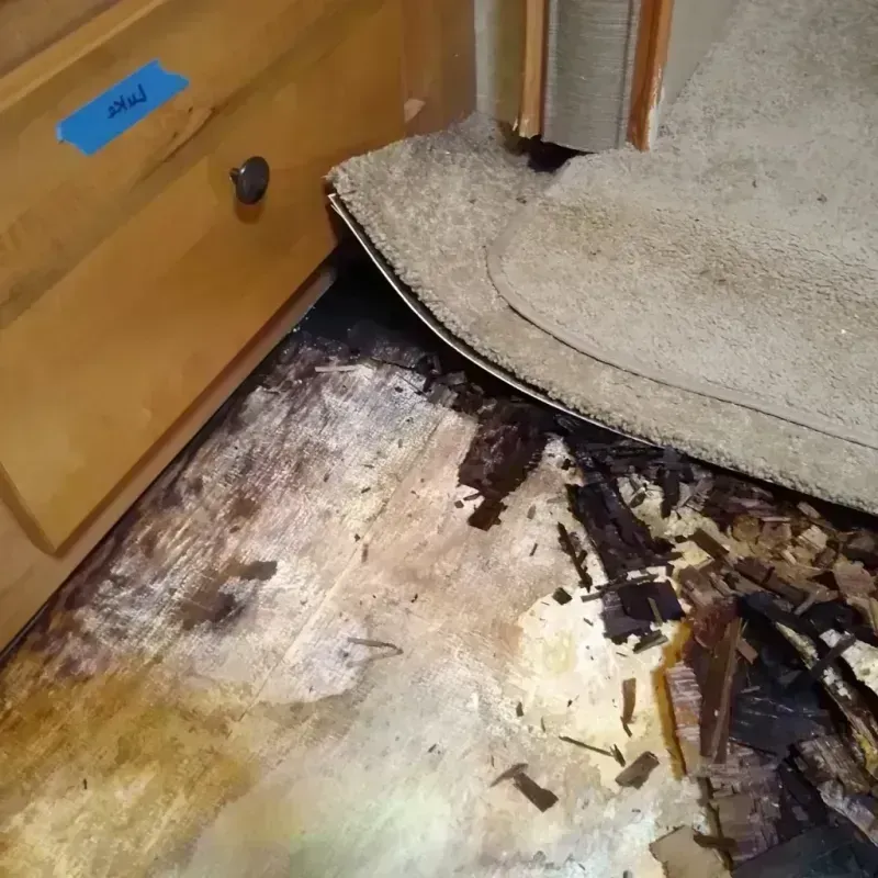 Wood Floor Water Damage in Cedar Mill, OR